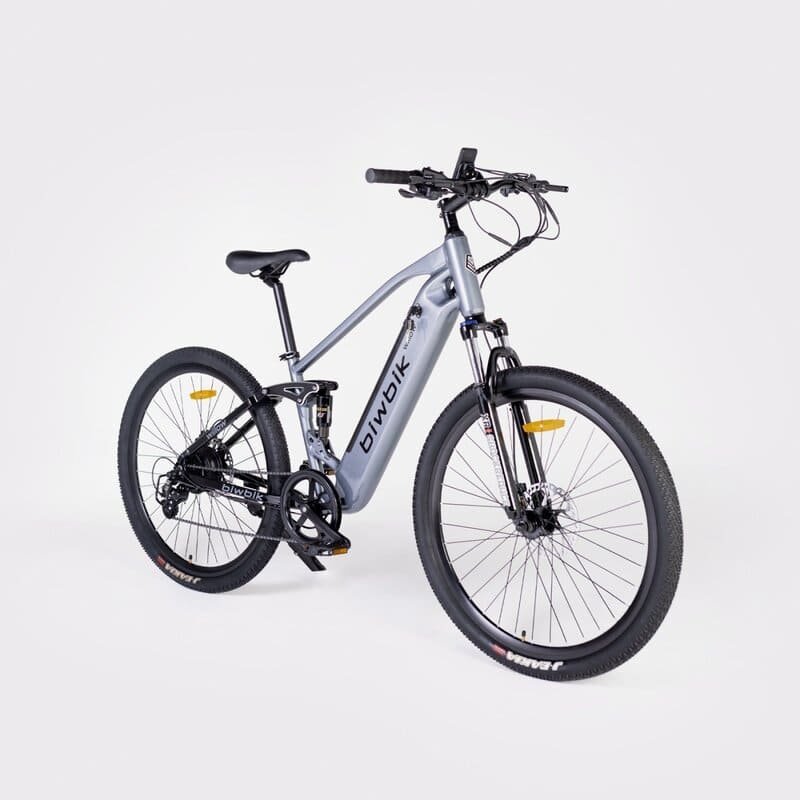 Biwbik-WILLOW-VTT-electrique-1.jpg