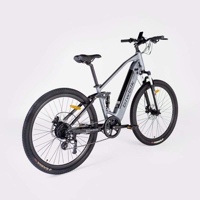 Biwbik-WILLOW-VTT-electrique-2.jpg