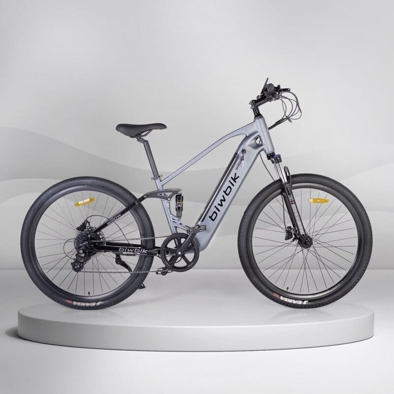 Biwbik-WILLOW-VTT-electrique.jpg