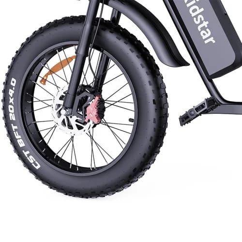 Electric-bike-Ridstar-Q20-PRO-2.jpeg