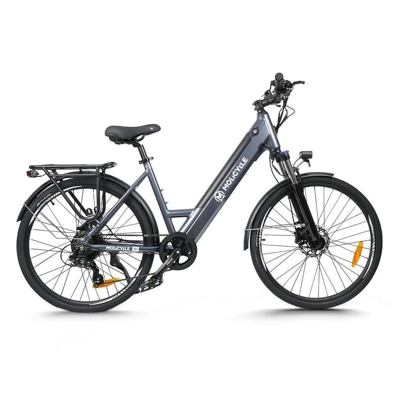VTC-electrique-Molicycle-R1-250W-26-.jpeg