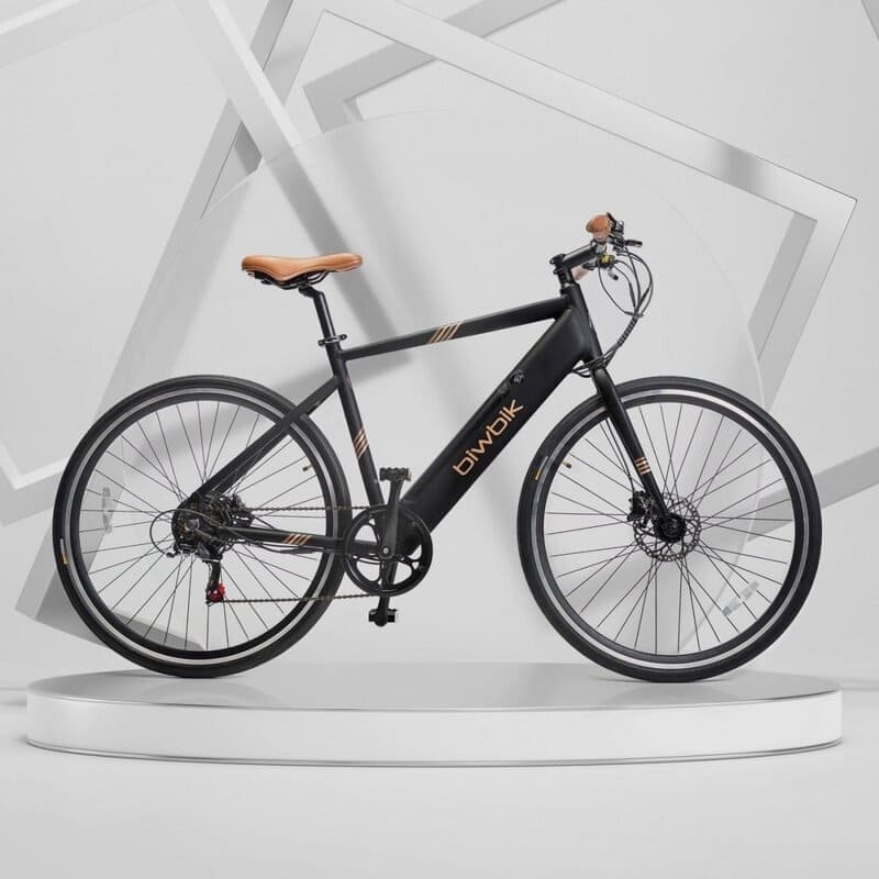 Velo-electrique-Biwbik-VALONA.jpg