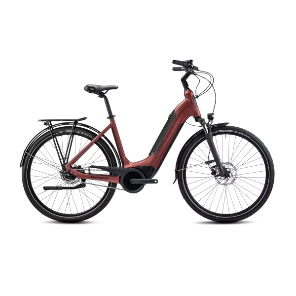 Velo-electrique-Winora-Tria-N8f-eco-2023-.webp
