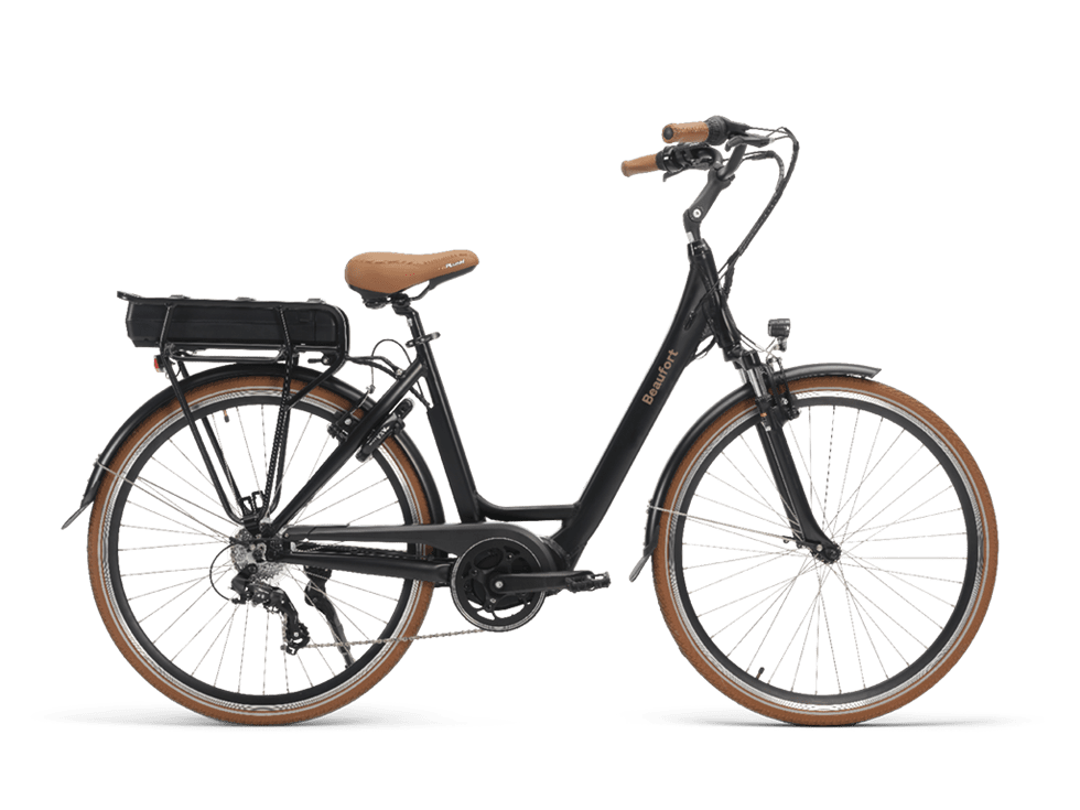 Velo-ville-electrique-Beaufort-Birgit.png